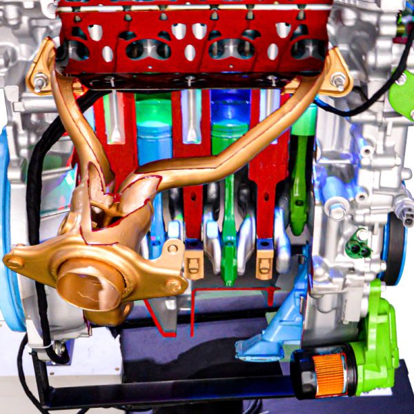 Conseil de formation en anatomie du moteur Stand d'affichage Équipement pédagogique