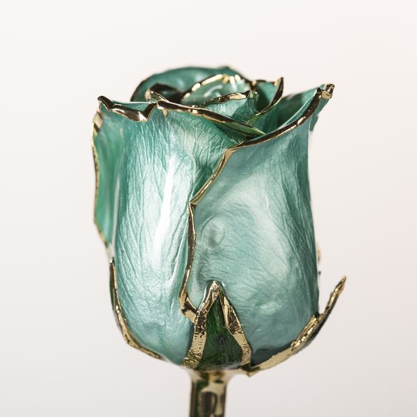 Gold Roses Real Natural Roses  with Stem   Preserved Flower Handmade Eternal Rose for Birthday Mother's Day Gifts