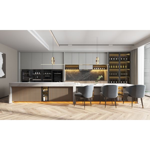 Modern Kitchen Cabinet with Granite Countertop Custom Design