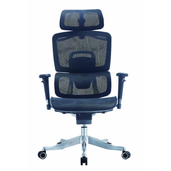 Aluminum Ergonomic Office Mesh Chair Revolving Height Adjustable