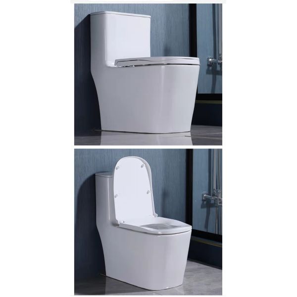 Porcelain Ceramic Wall Hung Toilet White Europe Style Bathroom with Buffer Cover Plate