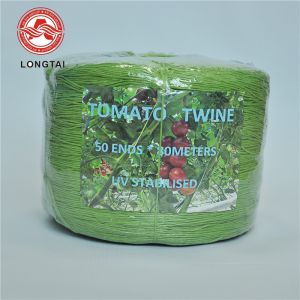 Split Film 7500D Tomato Tying Twine 1200m/kg For Agriculture Packing Greenhouse Raffia