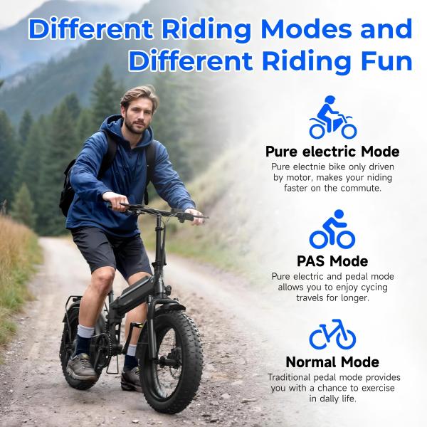 250W 36V Foldable Electric Bike 20 Inch with 10.4Ah Battery - Lightweight Folding E-Bike for Commuting/City Adults