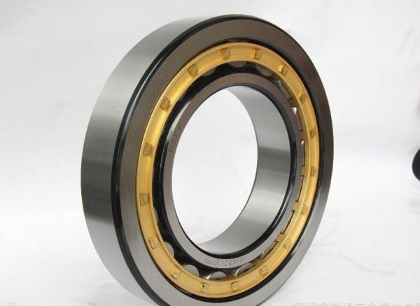 TMB Cylindrical Roller Bearings RN219M