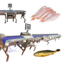 Máquina de clasificación de peces vivos de alta precisión Equipo de clasificación de peces vivos Tilapia Tamaño