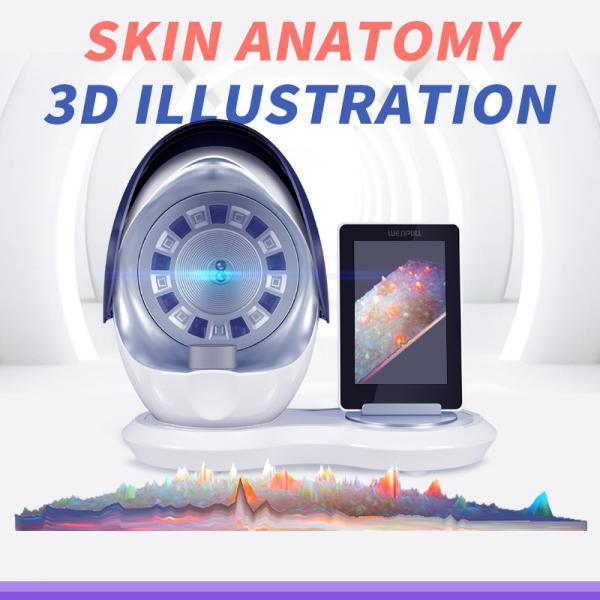 12 Megapixel 4D 8D Magic Mirror Skin Analyzer Equipment Dual Cameras