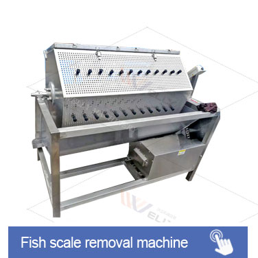 Vertical Aquaculture Fish Conveyor Belt Check Weigher Sorting Fruit &Vegetable Olive Grading for Sale Tilapia Grading Machine