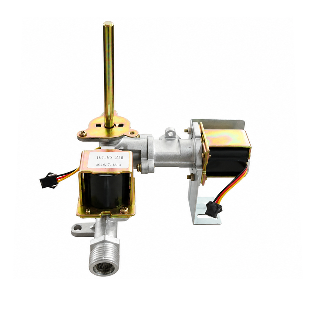 Flue Type Single Gas Valve Water Heater Gas Valve Control Valve Gas Regulator
