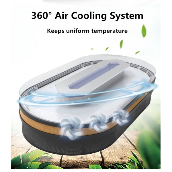 380V Vegetables Display Showcase