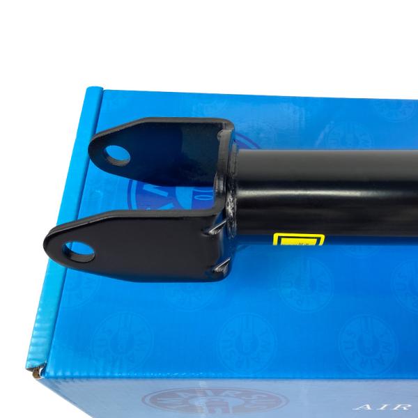 Tesla Air Suspension Strut Assembly for Model 3 Model Y Front Left Front Right Shock Coil Spring Kit