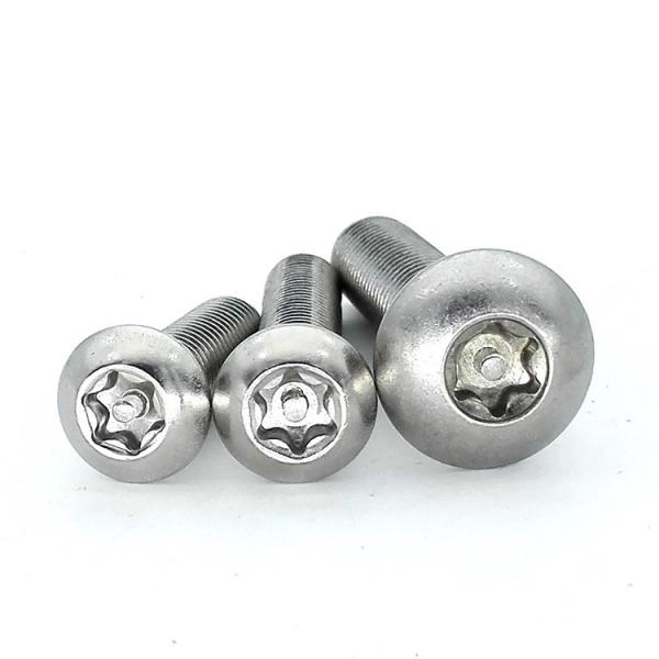 Stainless Steel Pin Tamper Torx Security Button Head Machine Screw