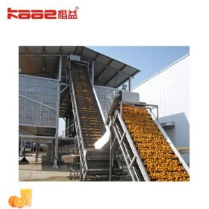 Turnkey Project NFC Juice Processing Line Orange Industrial Juice Press Machine