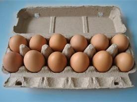 Paper Egg Tray Manufacturing Machine / Pulp Molding Machine 2 Years Warranty