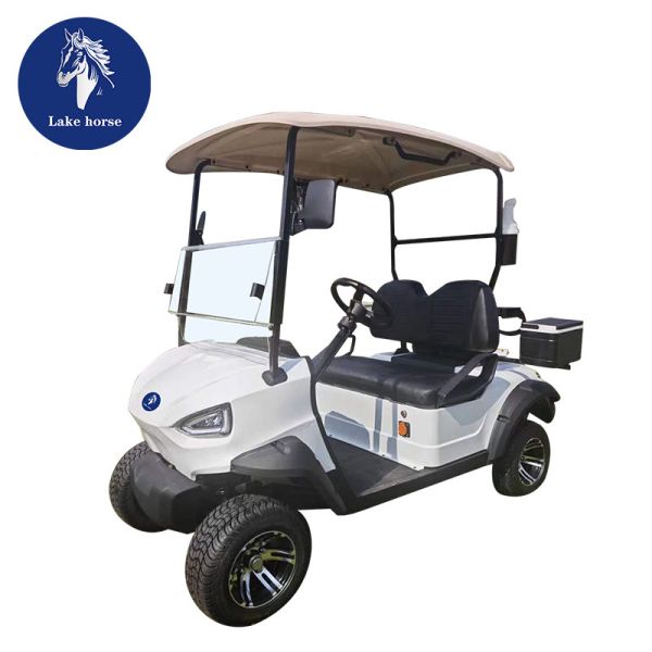 Electric Golf Cart Bag and Tires Fuel Type Electric Push Cart with Front LED Headlight