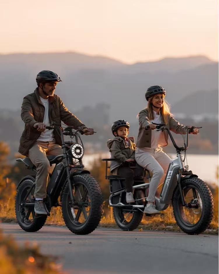 20 Inch Fat Tire Rack for Carrying Goods & Passengers, Powerful Motor, Long Range Long Tail Electric Bike with Cargo