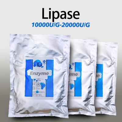 Poudre de lipase pour cuisson alimentaire en poudre d'enzyme de lipase personnalisée soluble dans l'eau