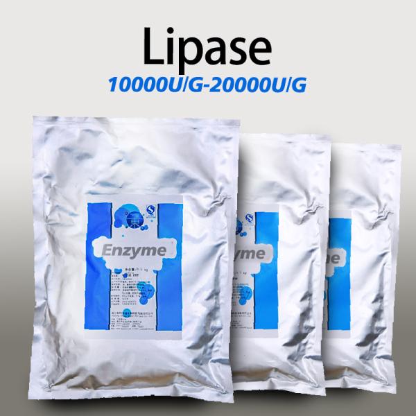 Poudre de lipase pour cuisson alimentaire en poudre d'enzyme de lipase personnalisée soluble dans l'eau