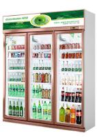 Exposição fria da bebida da bebida do refrigerador de vidro comercial ereto da porta do refrigerador
