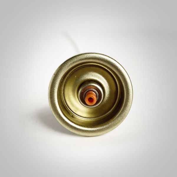 Золотой отлакированный клапан аэрозольной банки Тиньплате для консервных банок уборщика пены заботы автомобиля