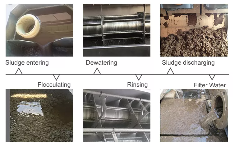 SS316 Volute Sludge Dewatering Machine