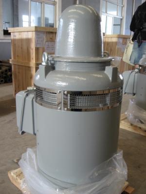 NEMA/IEC  Standard 100HP~600HP Vertical Hollow Shaft Electric Vhs Motors and Deep Well Pump Motor