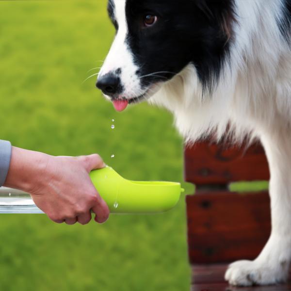 Da água anti-bacteriana do cão de estimação da forma garrafa bebendo, garrafa de água do curso do animal de estimação da prova do escape com produto comestível do ABS