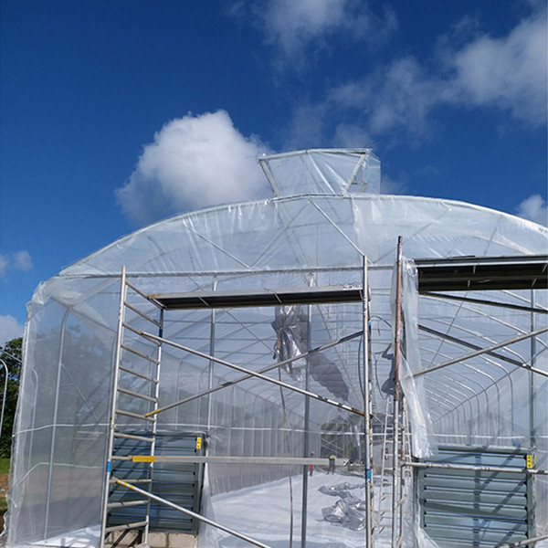 Natural Cooling Plastic Green House Made By Galvanized Pipes No Welding Design