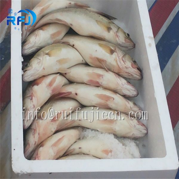 Свежая вода 220В/1П/50Хз делая машины льда 3 тонн промышленная для удя зоны