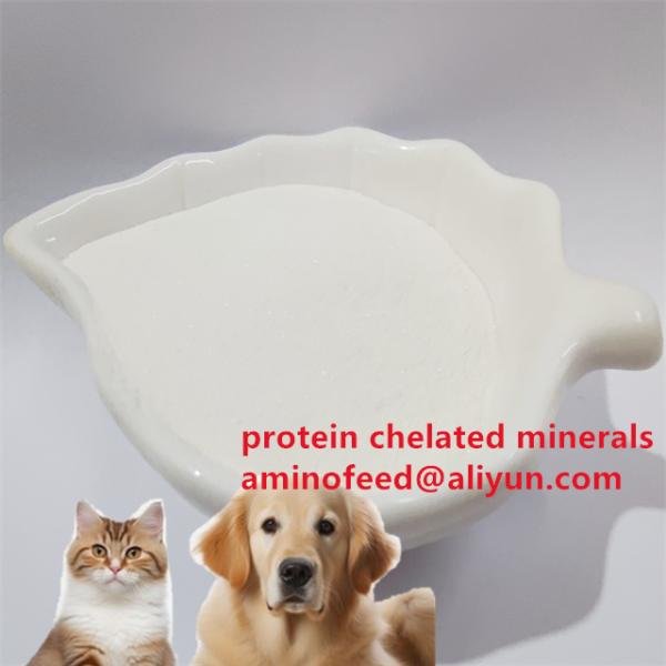 Zinc Amino Acid Chelate 20% Feed Additive for Pet Food