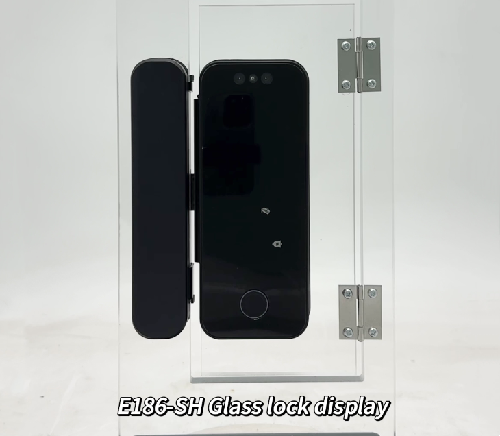 ELA Новый электронный беспроводный стеклянный ключевой замок умный отпечаток пальца Tuya App цифровое 3D распознавание лиц скользящий дверной замок