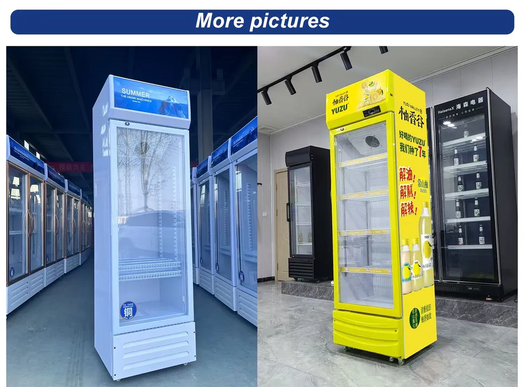 Commercial Double Door Refrigerator Beer Beverage Glass Upright Refrigerated Display Showcase