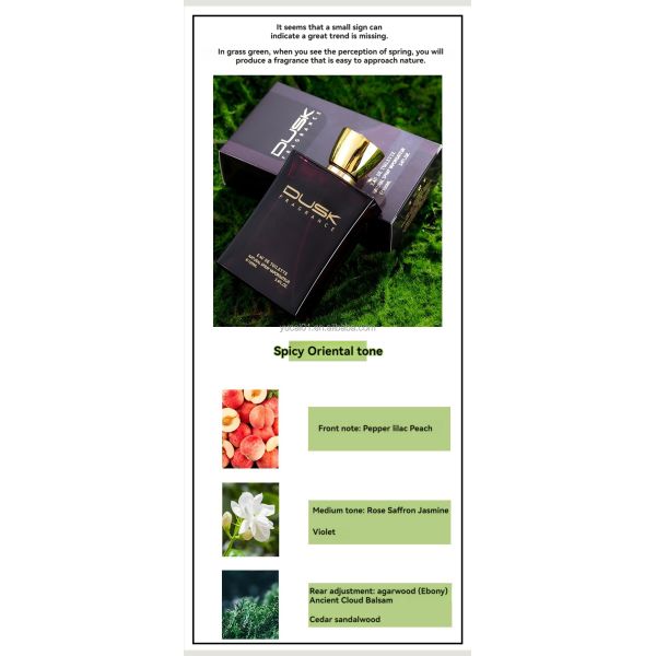 Floral Scent Perfume 100ML Wood fragrance Fresh Lasting Eau de Toilette for Urban Men