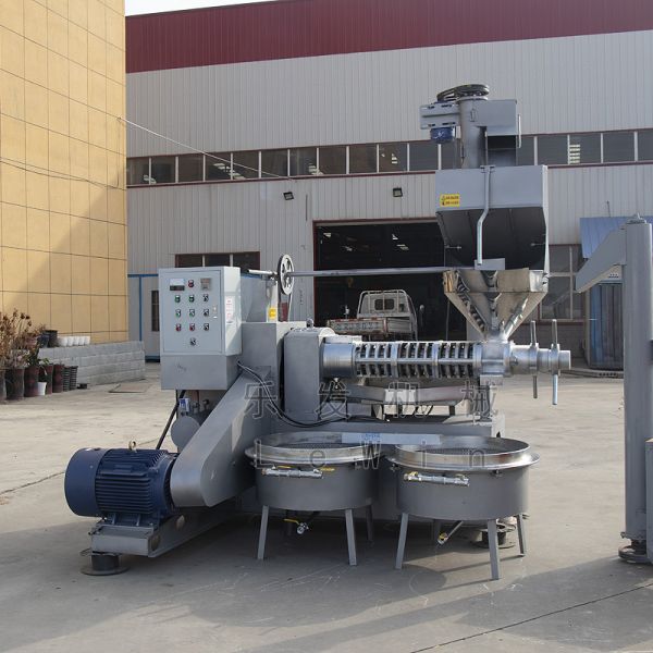 Automatic Cooking Oil Processing Machine Cold Oil Extraction Device