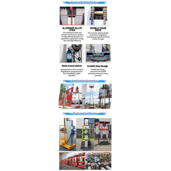 4m-16m 250kg Electric Mobile Dual Single Mast Lift For Station Facilities Repair