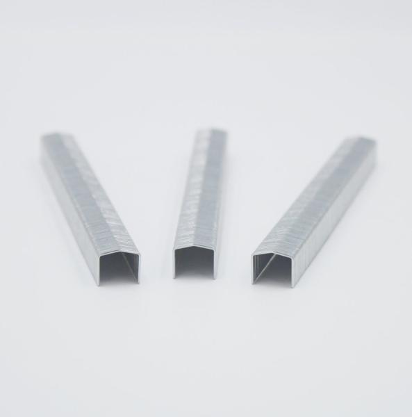 STCR5019-6 20 Gauge 11.50mm Crown 6mm Furniture Staple ANSI Standard for 6mm Crown