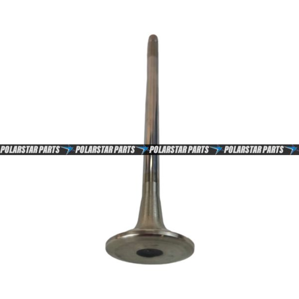 4926069 Exhaust Intake Valve M11 QSM11 ISM11 Diesel Engine 3417779