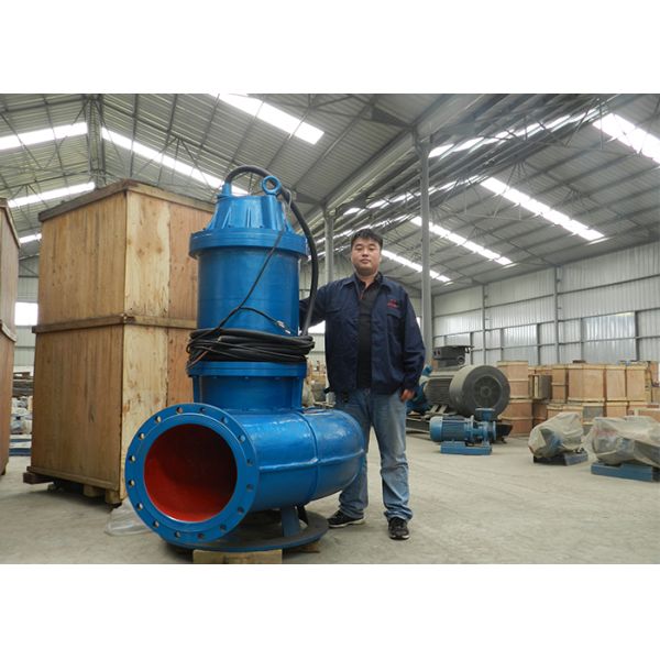 75kw 100hp Submersible Sewage Pump 3 Phase 50hz / 60hz IP68 Protection