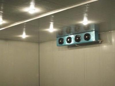 o refrigerador do armazenamento frio da placa do verificador de 2.0mm Recessed a sala de frio de canto curvada da carne