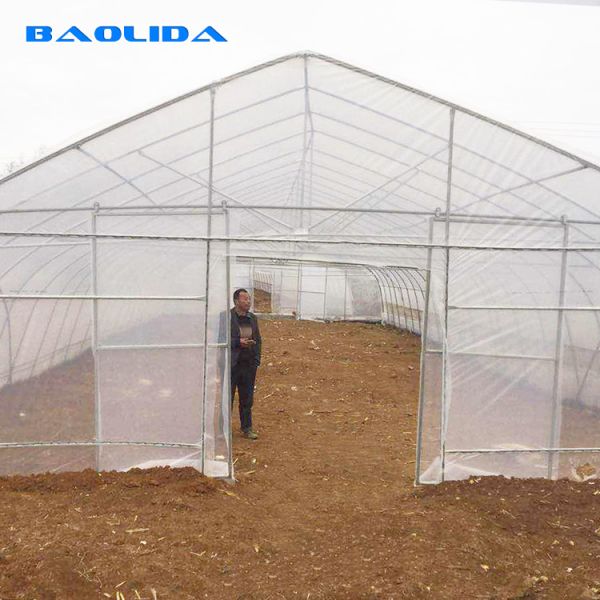 парник высокого тоннеля тыквы 6m фильма полиэтилена свода Одно-пяди пластиковый для расти заводов