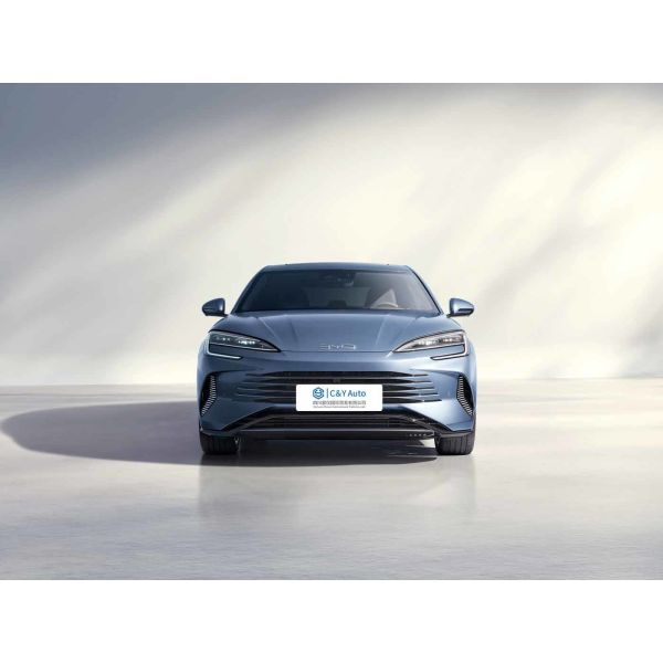 6 エアバッグ BYD 360°画像カメラ付き電気自動車