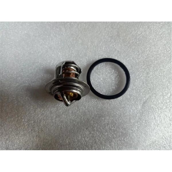 2495541 Thermostat For CAAT Engine Parts