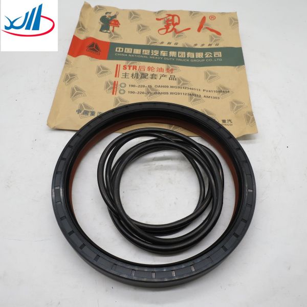 Sinotruk Howo Truck Parts Rear Wheel Oil Seal WG9112340113 190x220x15