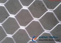 Belle grille Mesh For Protection Firm Structure et résistance à la corrosion