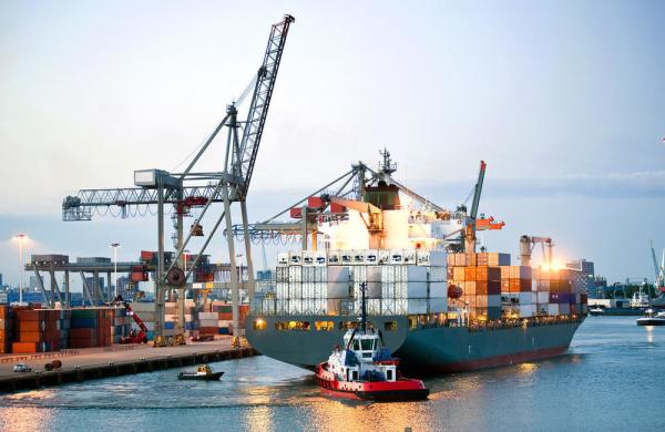 Door To Door Ddp Sea Freight With Destination Storage In 30 Days Shipment Dispatch Time