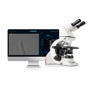 Al Pinewood Nematode Identification System