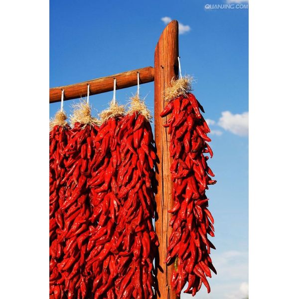Premium Chilli Pepper Powder Rich In Vitamin C And Antioxidants With 60-80 Mesh And 80-220 ASTA For Culinary Use
