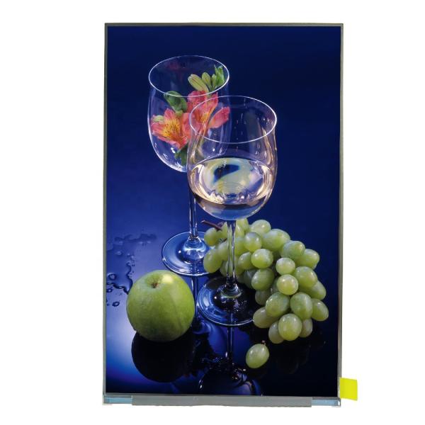 BOE 10.1 Inch 800*1280 Laptop LCD Display MIPI Industrial LED Screen