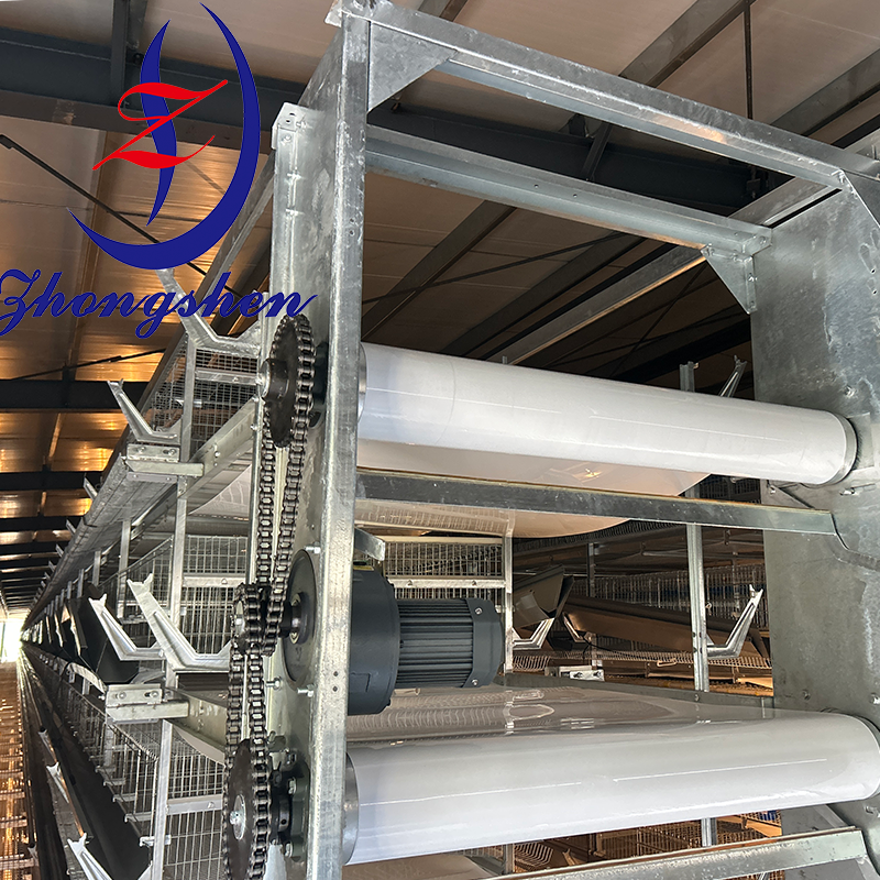 Zhongshen Brand Manure Conveyor Belts - Premium Quality, Proven Performance