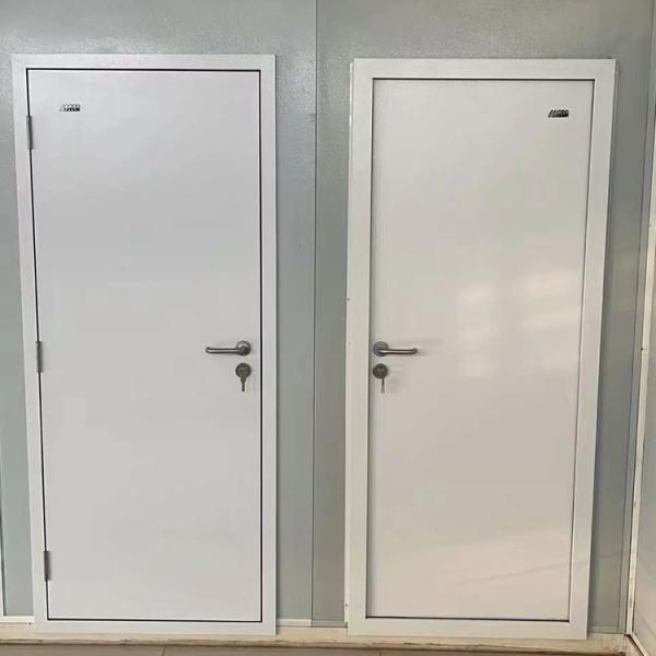 Tempered Insulating Glass Steel Entry Doors Customizable Anti Theft