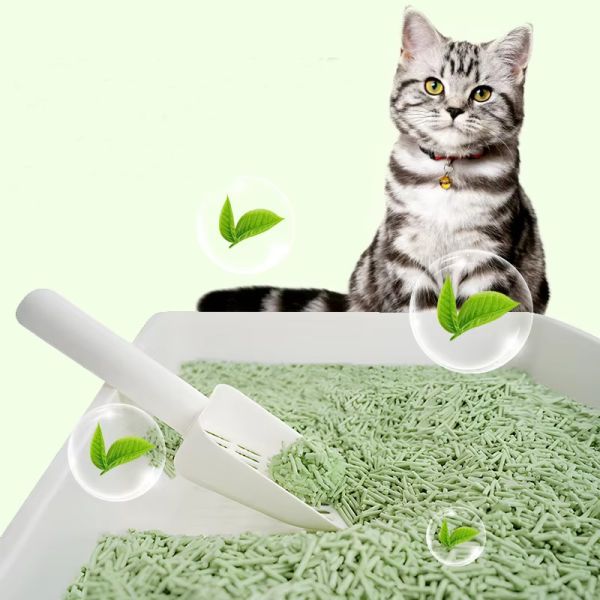 Dia 1,5 mm 1,8 mm 2,0 mm Litter de gato Dofu Eco compostable Litter de gato agrupado